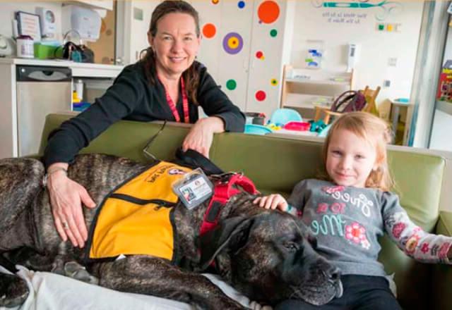 volunteer with child and service dog